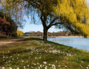 Sfeerbeelden De Ster De Ster 15 1