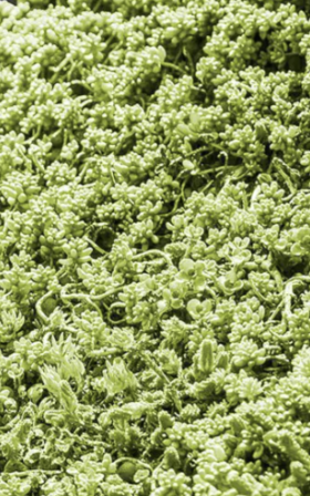 Schermafbeelding 2024 09 27 om 13 58 06