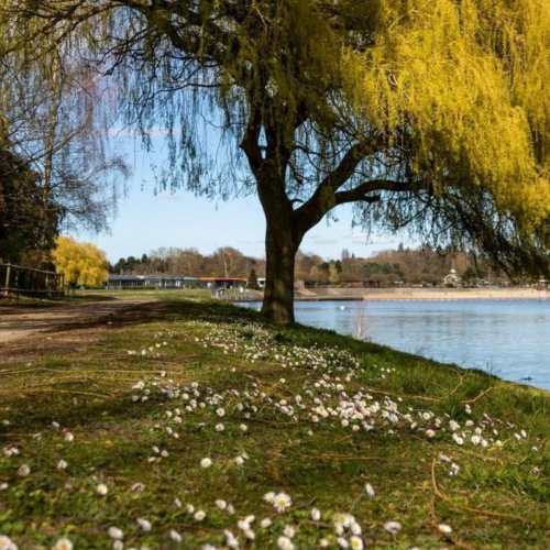 Sfeerbeelden De Ster De Ster 15 1