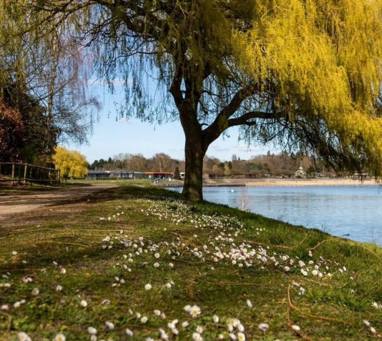 Sfeerbeelden De Ster De Ster 15 1